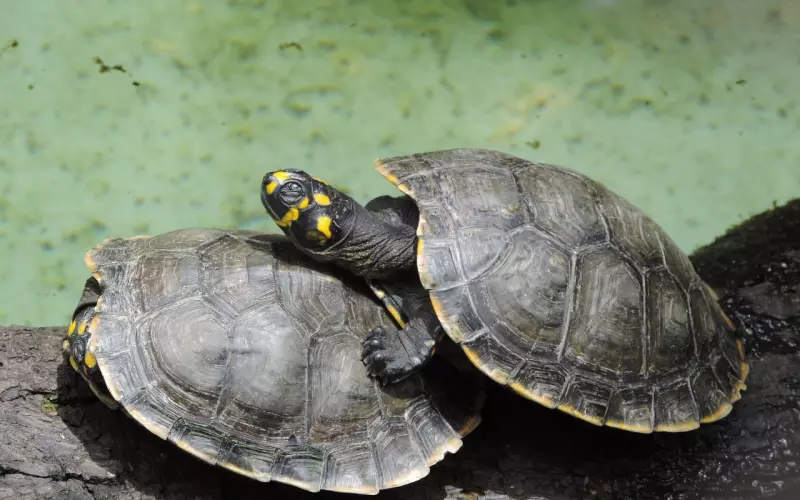 挽回时的六大雷区，你踩中了几个？