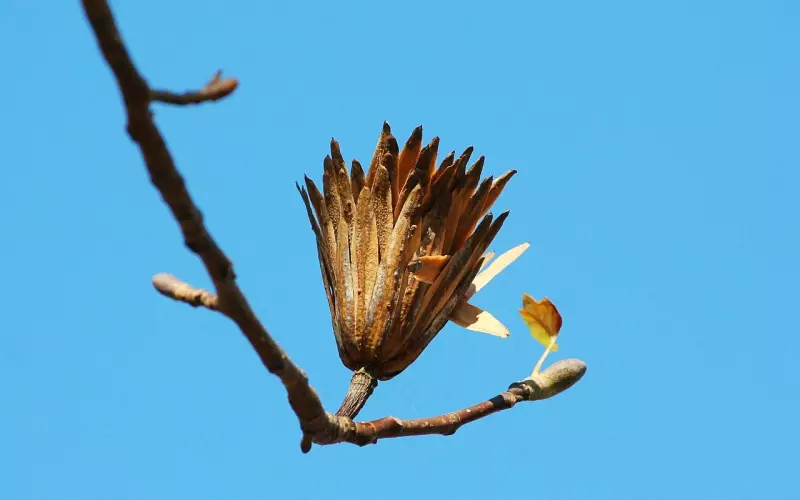 前男友这三种状态，最后阶段是挽回的最好时机
