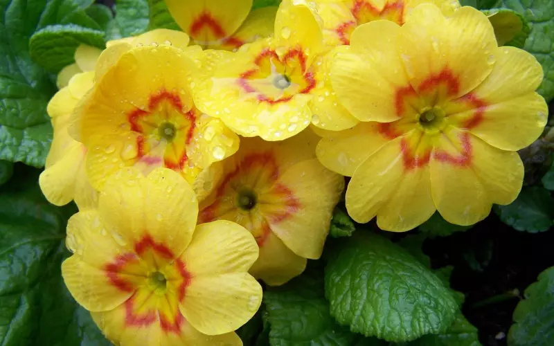 10月30，见者接佛光！心存善念，心想事成，收到祝福，福报自来！