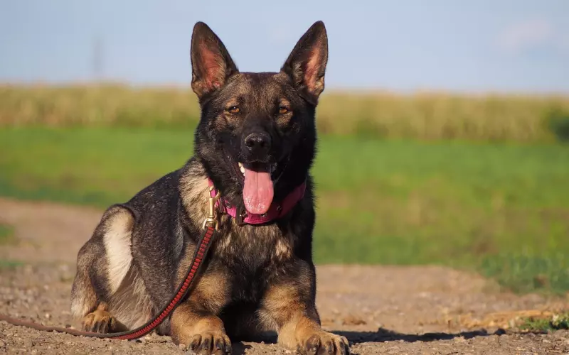 论朋友圈这个江湖之地的激烈斗争！