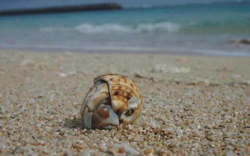 论原配与小三：最牢固的感情,大都势均力敌