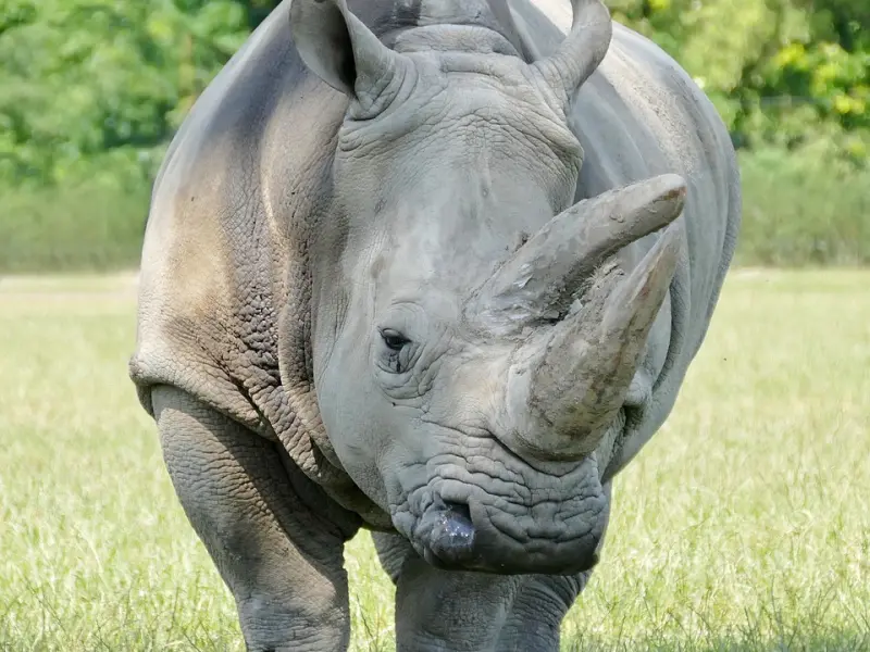 濒临分手，女生该如何挽回感情？