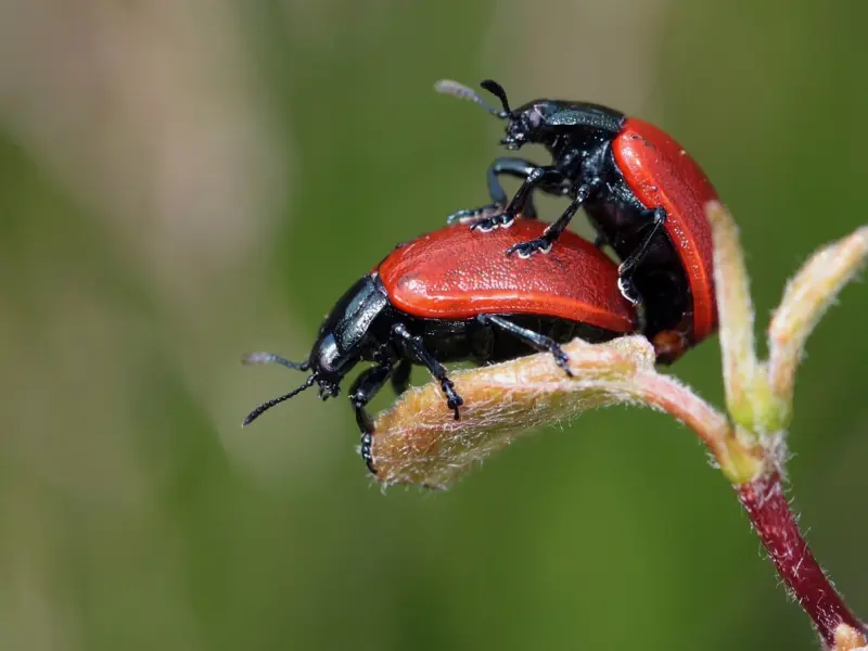 微信上，女人频繁用这三个暗示“招式”，说明她对你“动情”了！