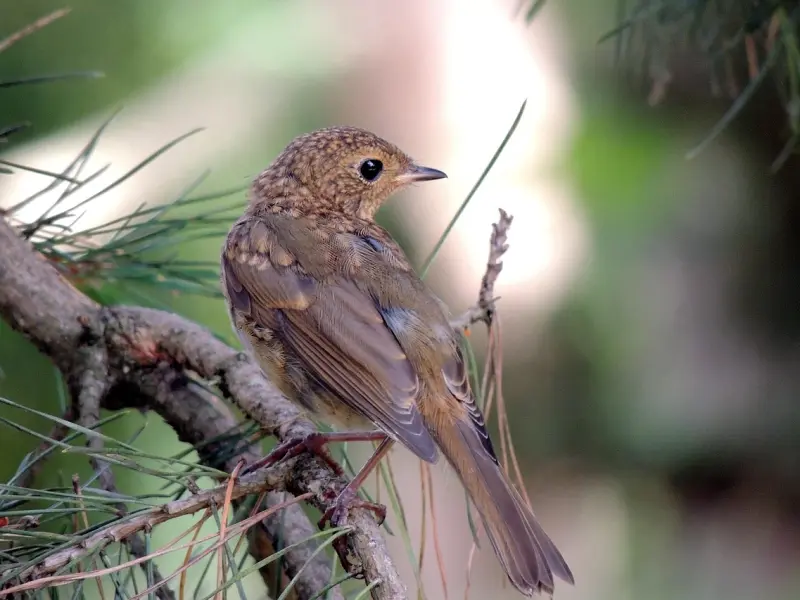 妇女节，不爱自己的你，拿什么挽回？