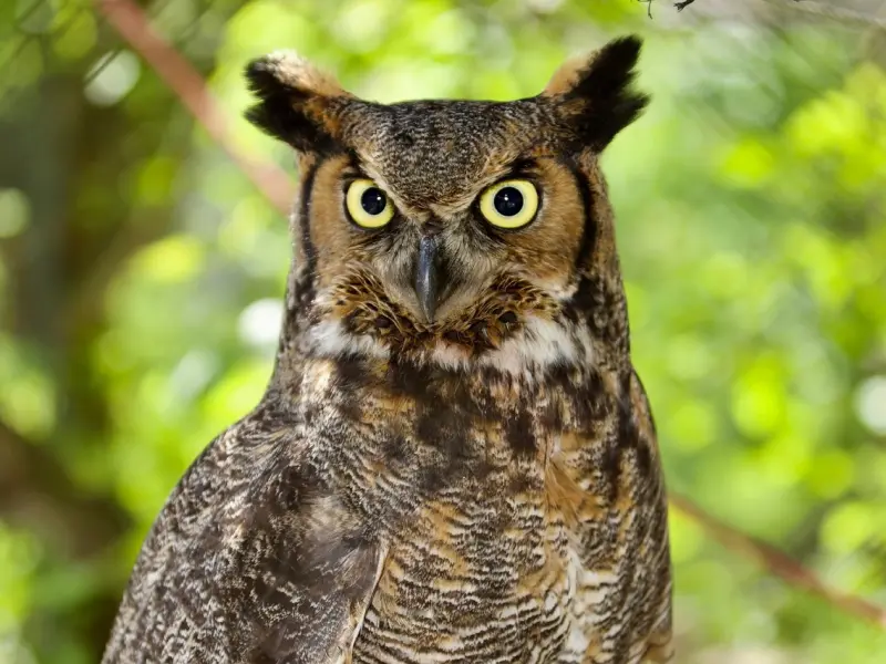 男人一旦不爱你了，就会用这些套路，逼着你主动离开你