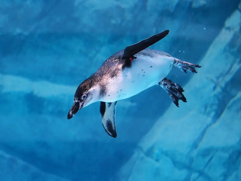 女人一旦不爱了，不会告诉你，反而会用这种方式逼你离开！