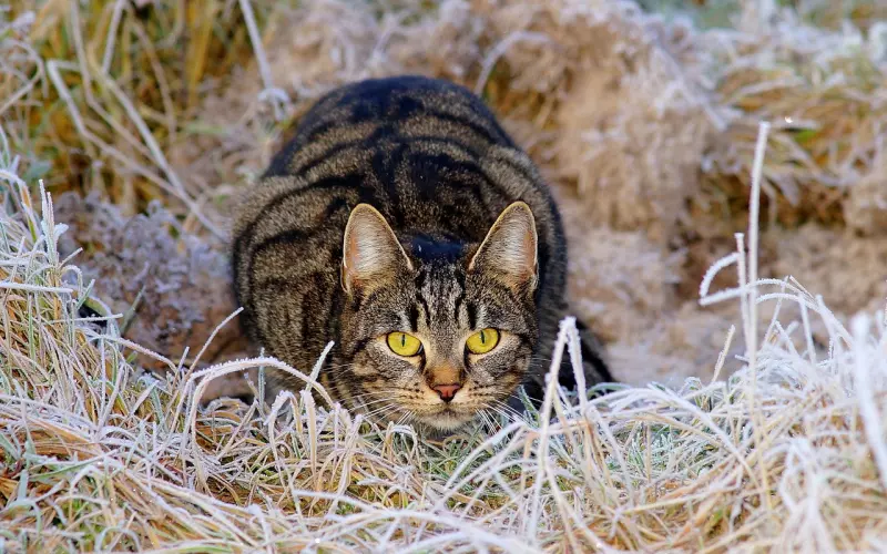 女人一旦“迷”上你，会有这3个“偷偷摸摸”的表现！