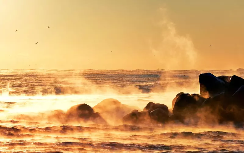 异性之间一旦互生“情愫”，这种行为就会“克制不住”！