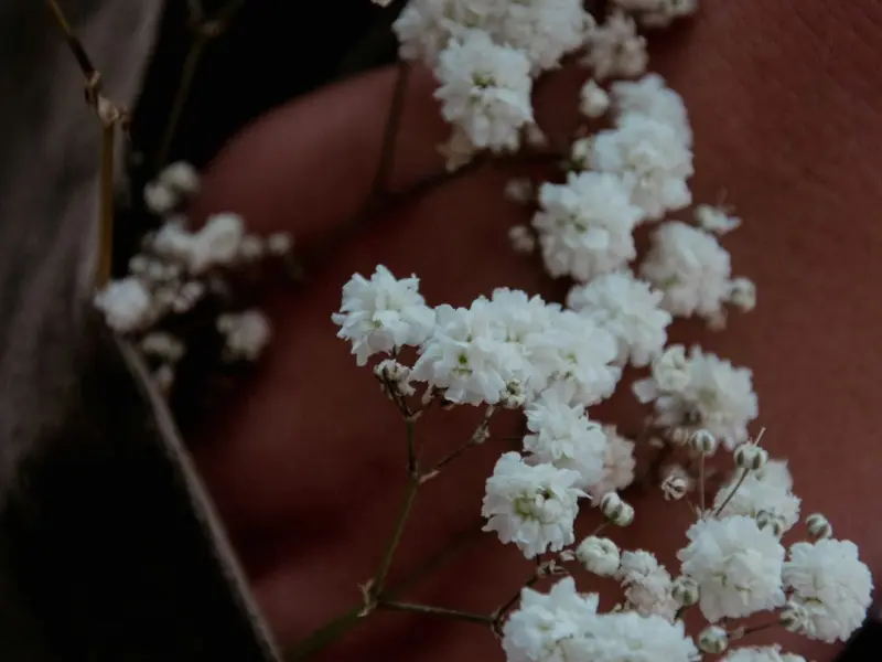 一旦和你分手，就不会再和你有情感关系的星座