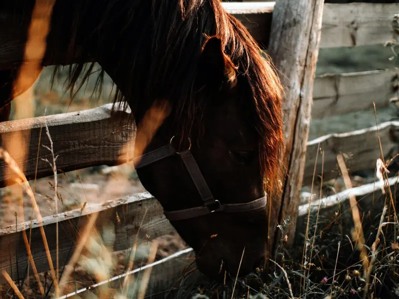一旦分手，就算难忘旧爱，你也别指望这几个星座吃回头草