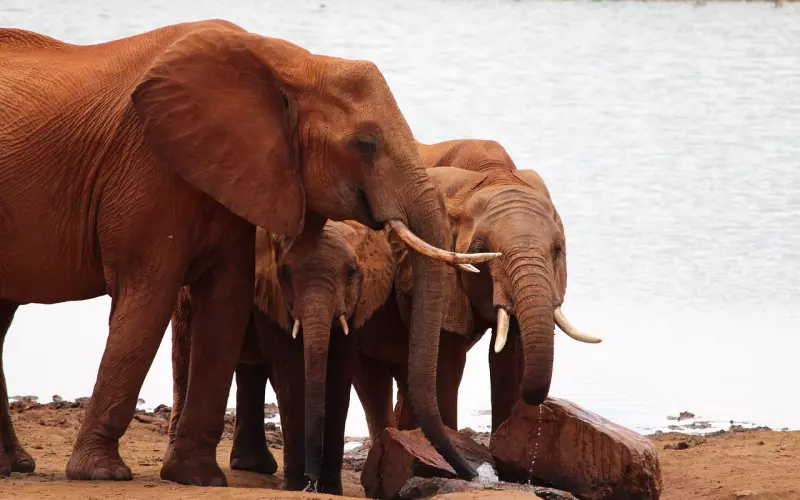 一家不知一家难，好现实，值得一看！