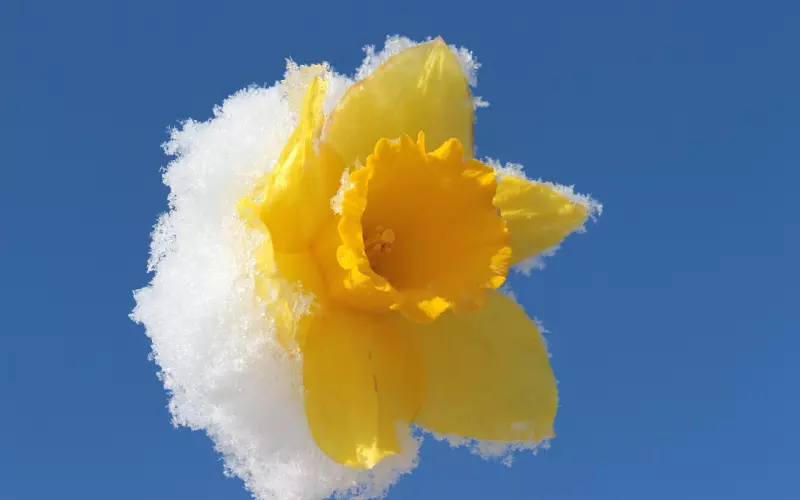 分手一个月后，前男友又来加我微信了！