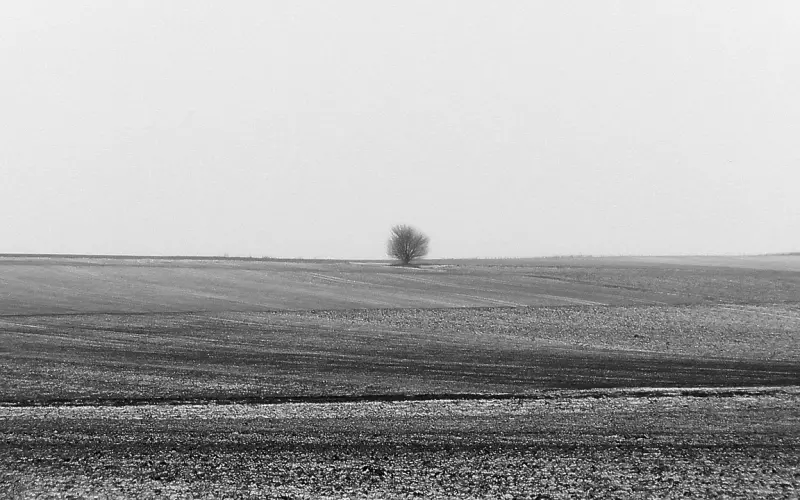 一人，一心，一辈子……