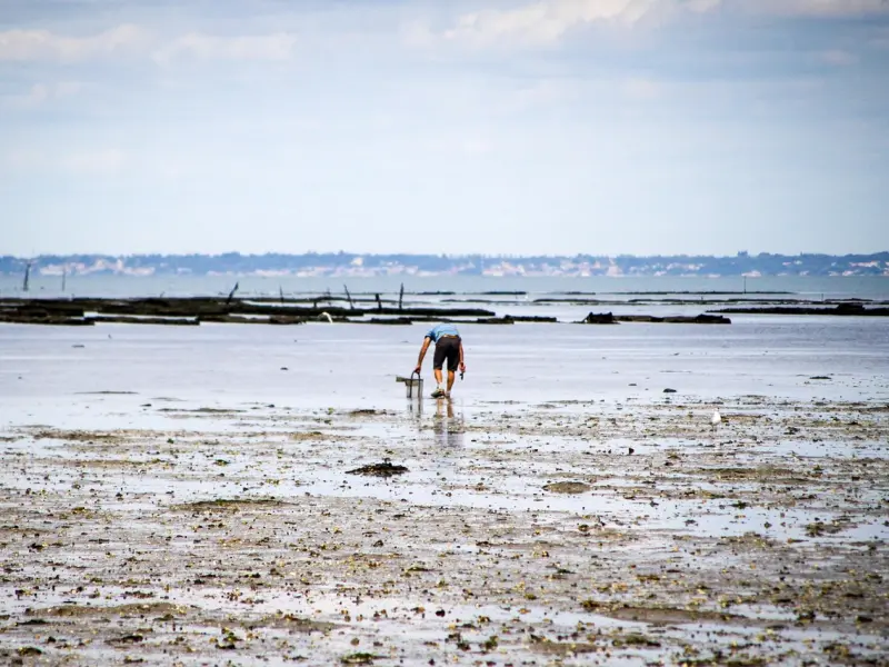 一句话挽回爱情，分手了挽回女友的话要怎么说