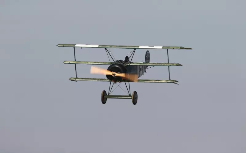 《网恋记”三十四、追根1