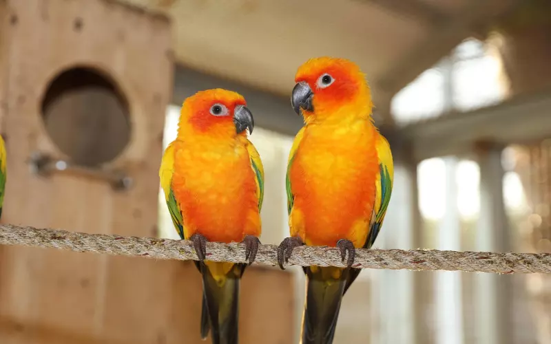 情到深处的男人，才会有的几个小动作，中2条以上真爱无疑