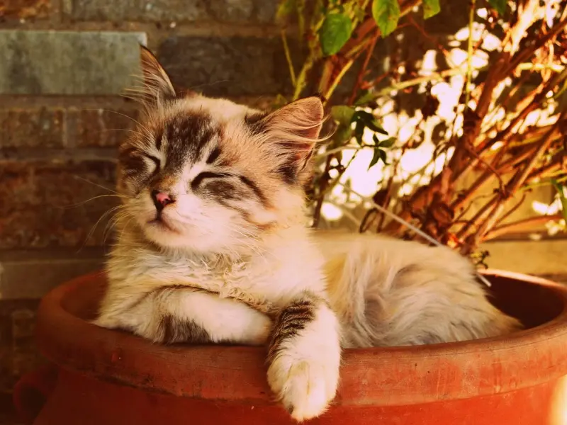 一个把你爱到了“骨子”里的男人，才会不停的追问你这3件事