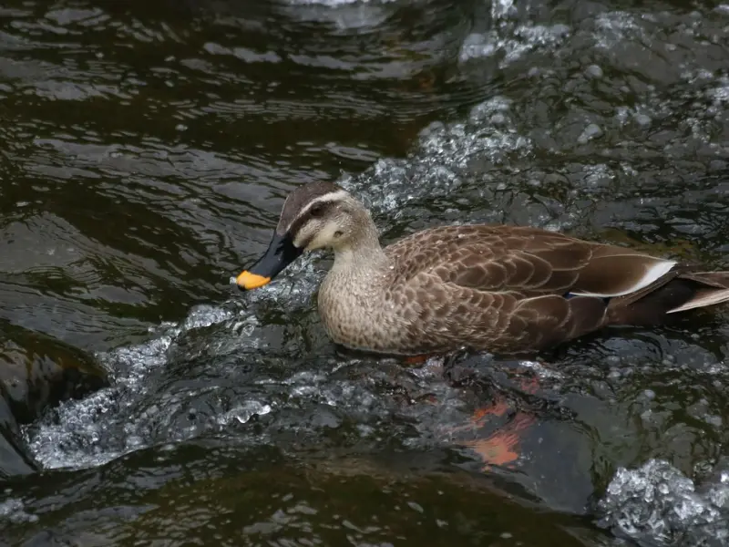对你有意思的女人，才会给到你这6种暗示，你收到过几种？