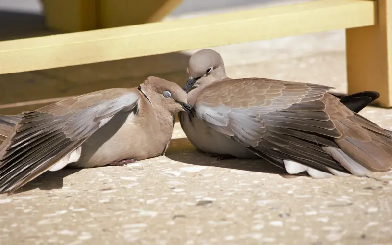 只有和对的人在一起，才不辜负往后的余生。