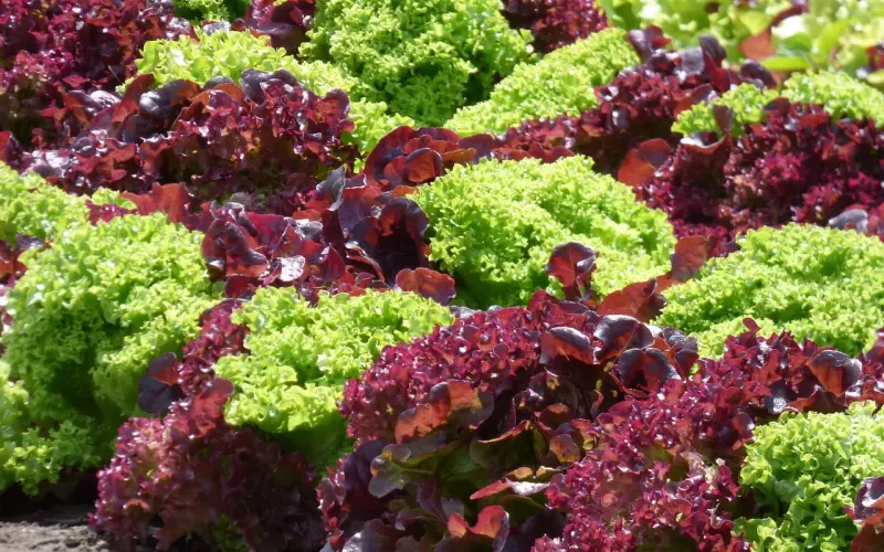 控制好自己的情绪 你才能主导分手挽回的进程