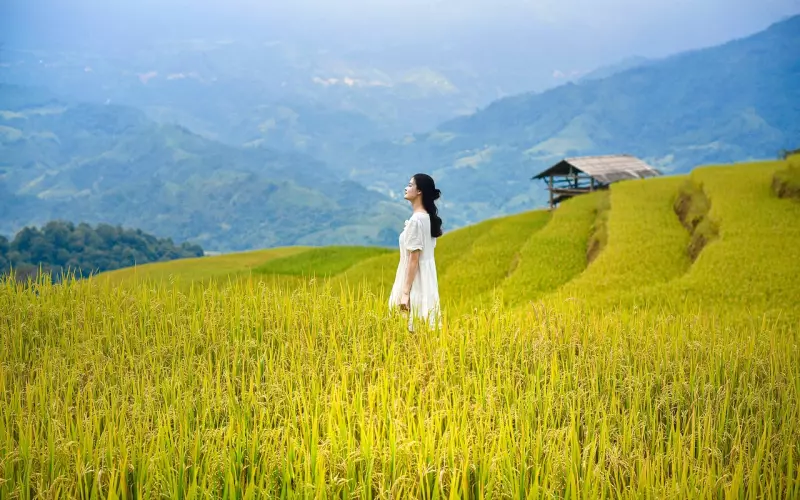 热爱妇女的称号并以此为荣，你才能尽显光芒！