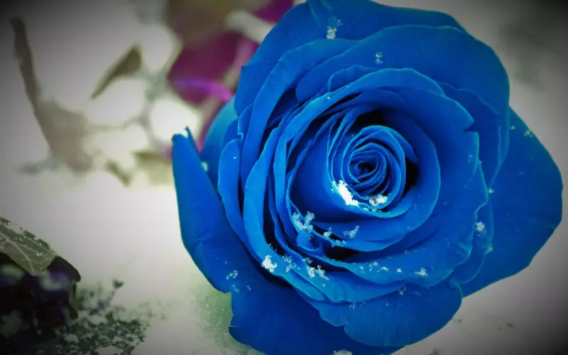 唯有重塑自己，才能挽回失去的爱情