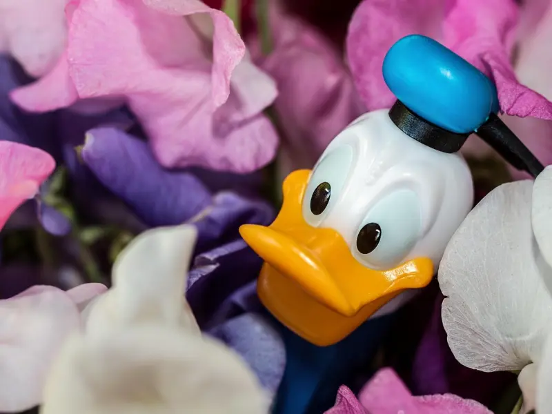 靠自己，才会无所畏惧！