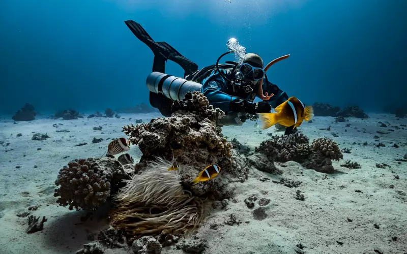 明白这些“潜规则”，女人才能在职场“如鱼得水”
