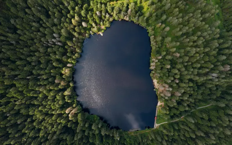 善于利用这种坏坏的小心思，男人才会挽回到你身边