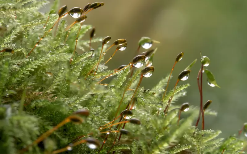 这样催眠男人，他才会乖乖回到你的身边