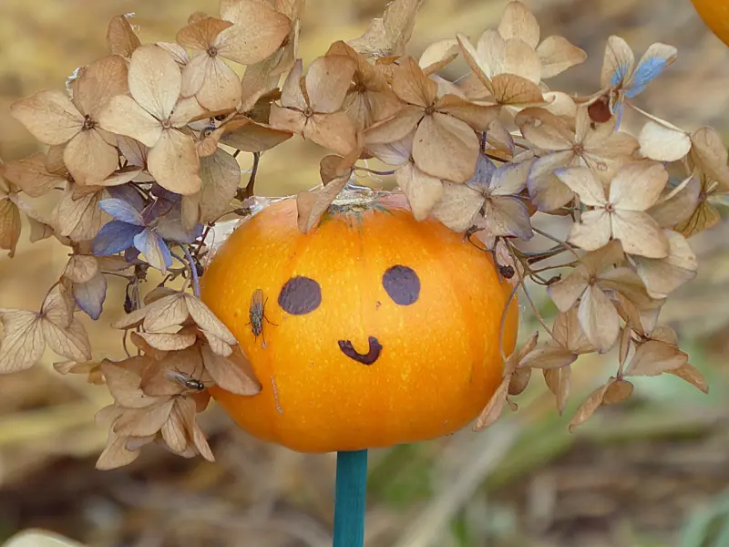 经得起这一点考验的感情，才会长久