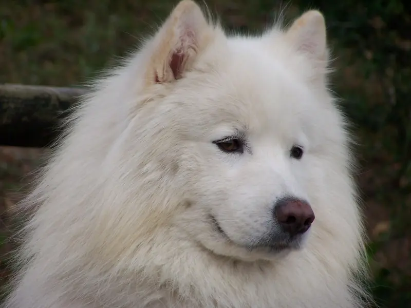 让女人“无法抗拒”的，只会是这三种男人