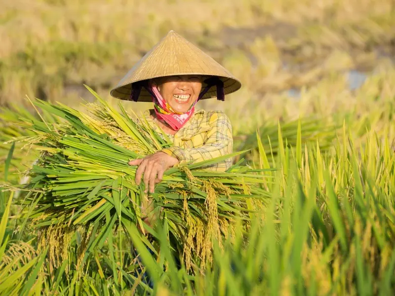 能拯救婚姻的，只有这种女人