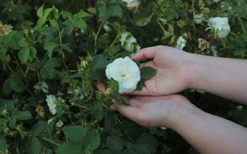 懂你的人，才配得上你的余生（深度）