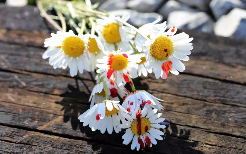 伤的太深才无情可言，让爱在回到原点