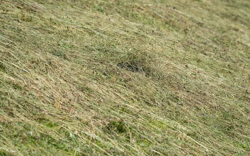 变成这样的你才能留住前任