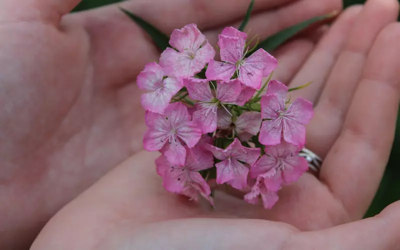 处理好你的嫌弃，感情才能细水流长