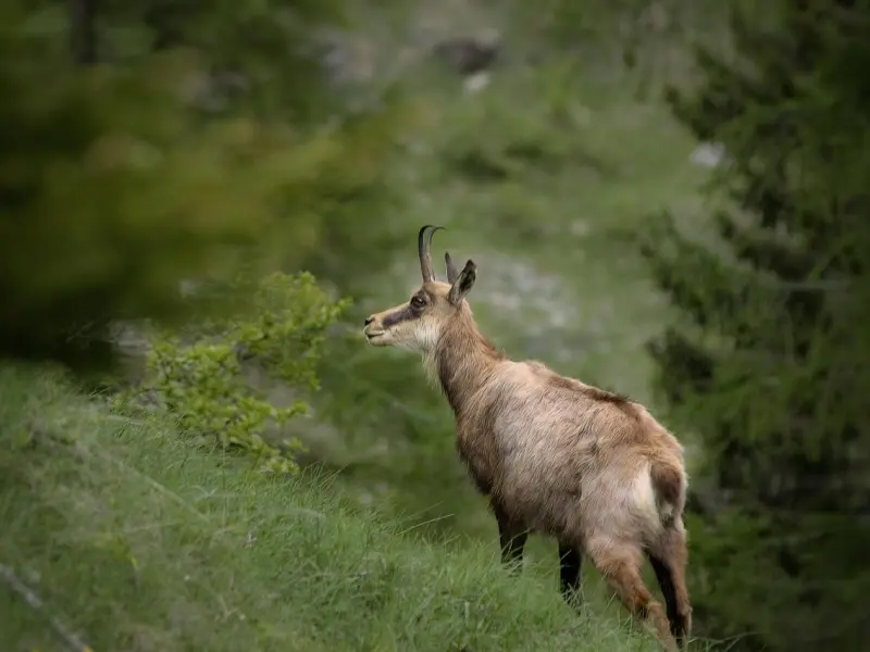 触碰过女人这三个地方，这才能叫真爱