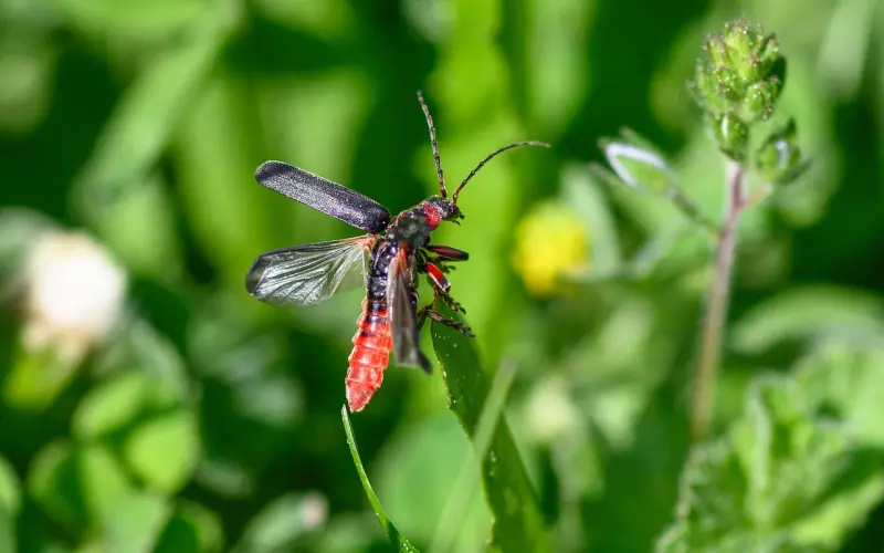 异性之间“日久生情”了，才会情不自禁做这些事！