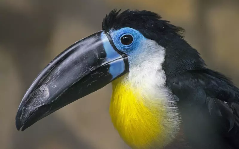 别人的嘴，自己的路