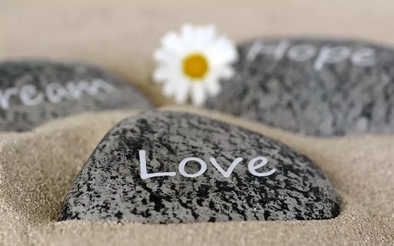 我们的情感梦想！