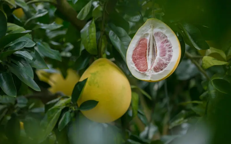 【福建超六成女性认为闺蜜很“危险”】