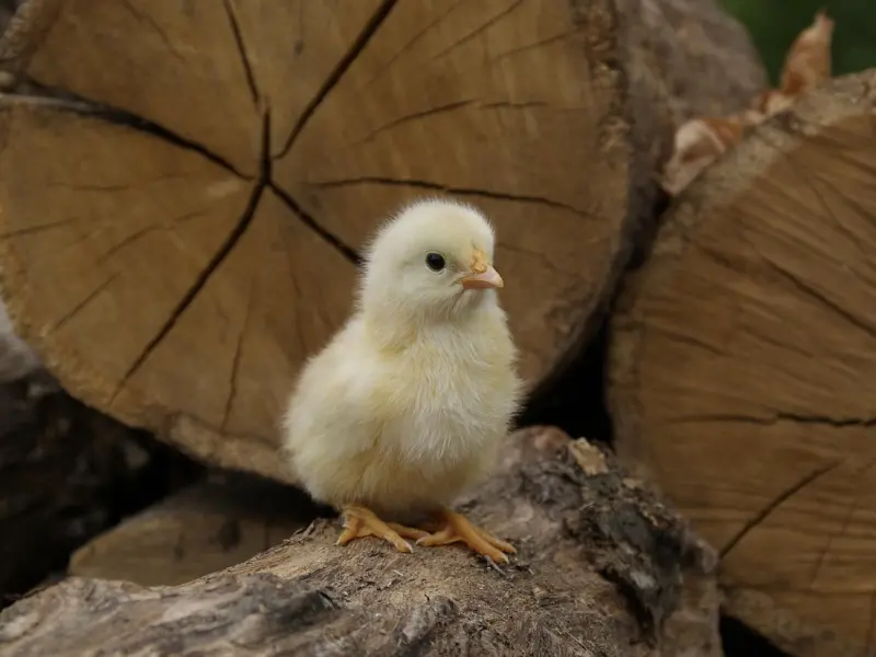 攻克这四大难点，快速挽回男友