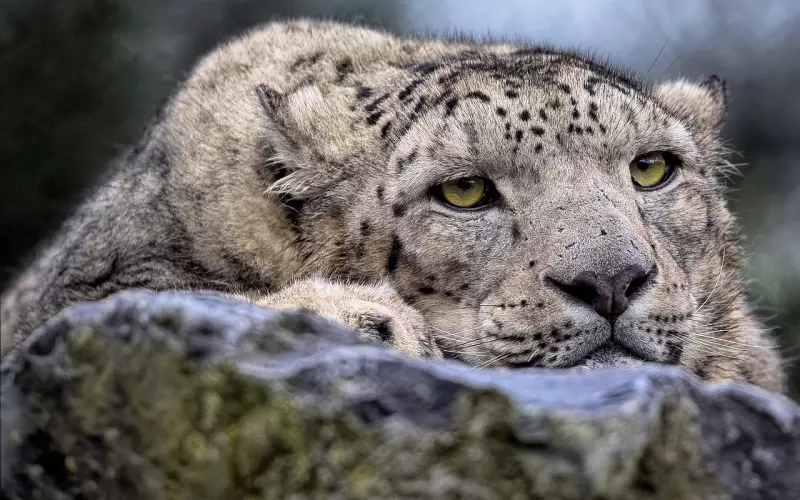 无痛分手更易挽回！如何分手减少伤害？