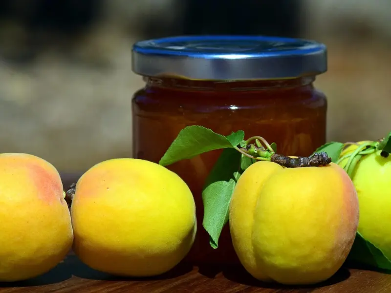 papi酱遭万人骂：我爱自己，我错了吗？