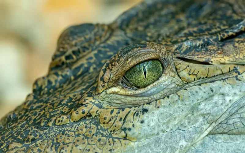 维持异地恋注意这些细节，否则容易分手！