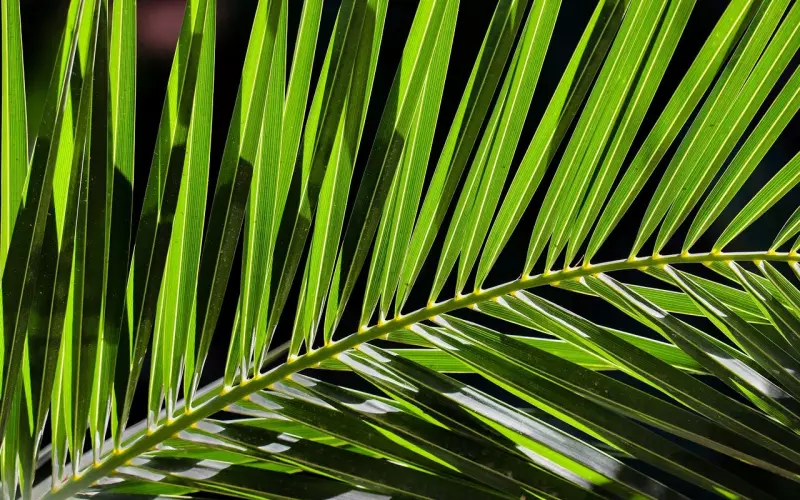 维持异地恋注意这些细节，否则容易分手！