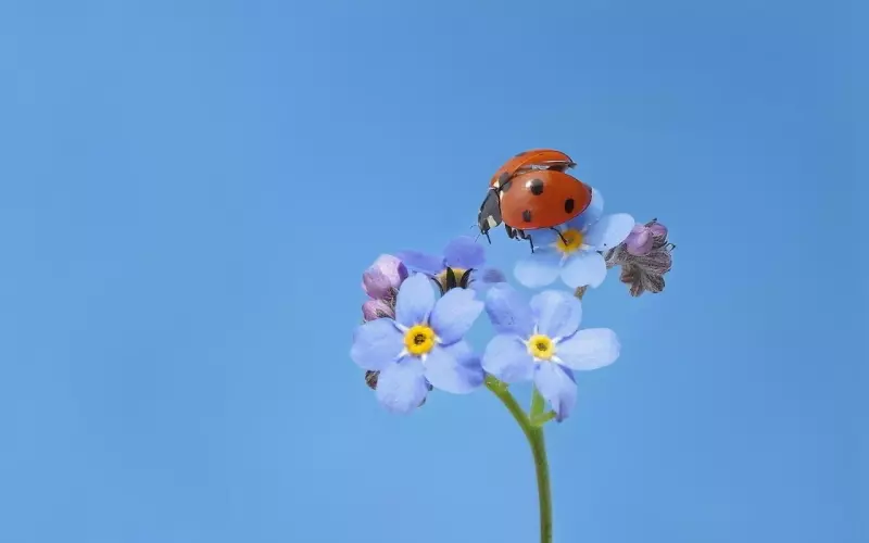 注意这七点，可以让婚姻更甜蜜
