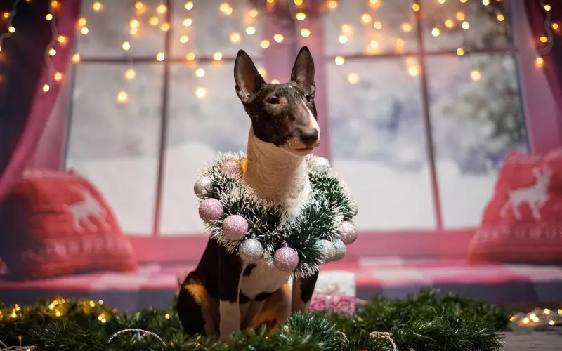 约会的时候要注意这些小技巧