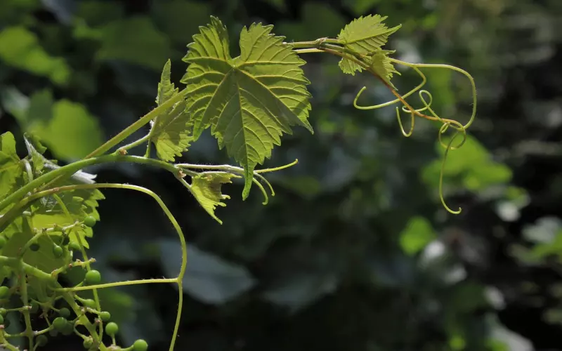 在婚姻里心安比心动要重要的多
